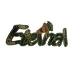 Aplicaciones bordadas 6