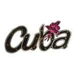 Aplicaciones bordadas 14