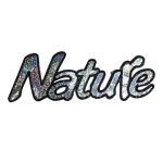 Aplicaciones lentejuela 408